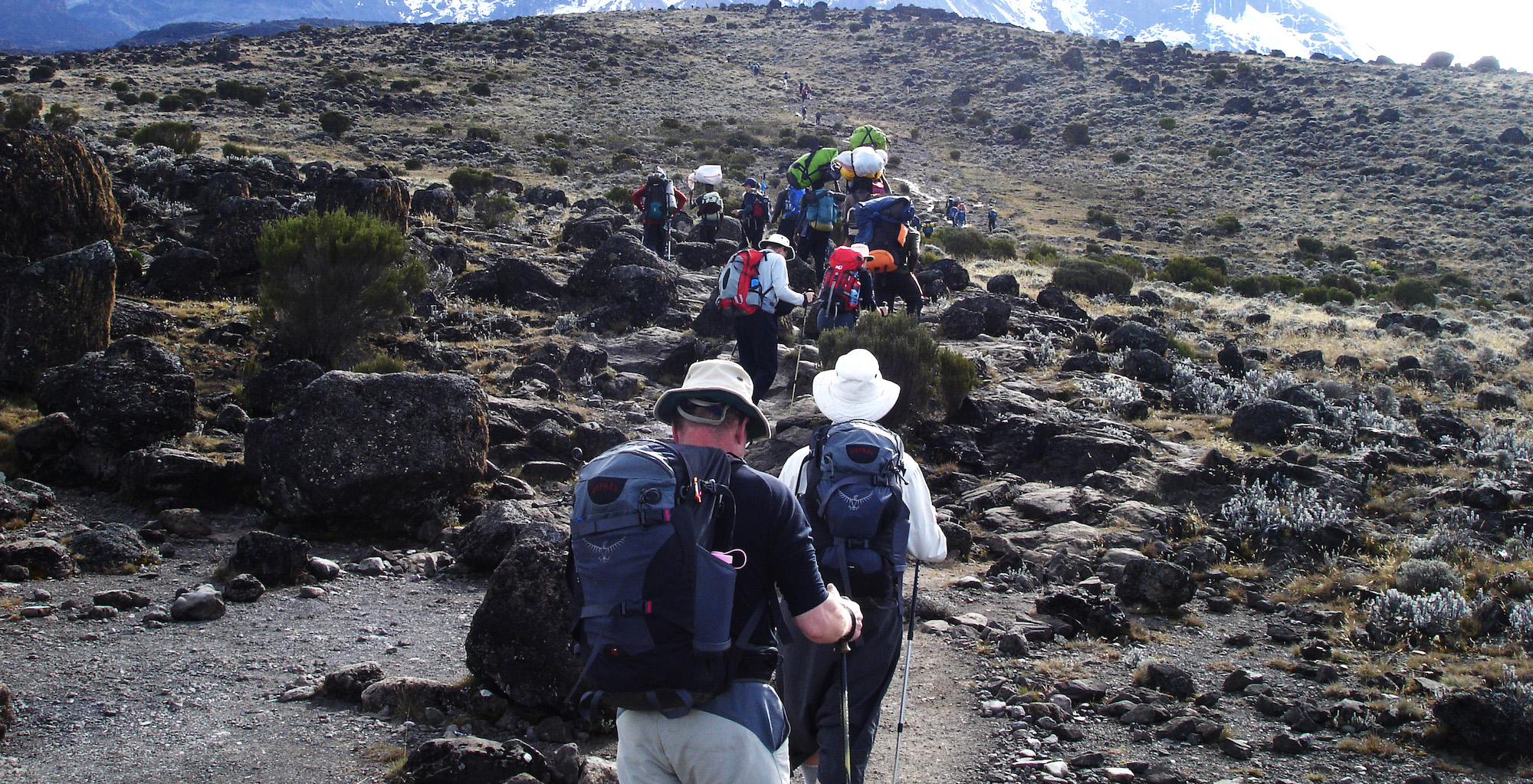 Mt Kilimanjaro Machame Route - Kibo Slopes Safaris