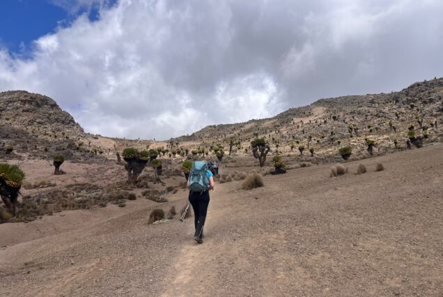 Mt Kenya Timau - Naromoru Route