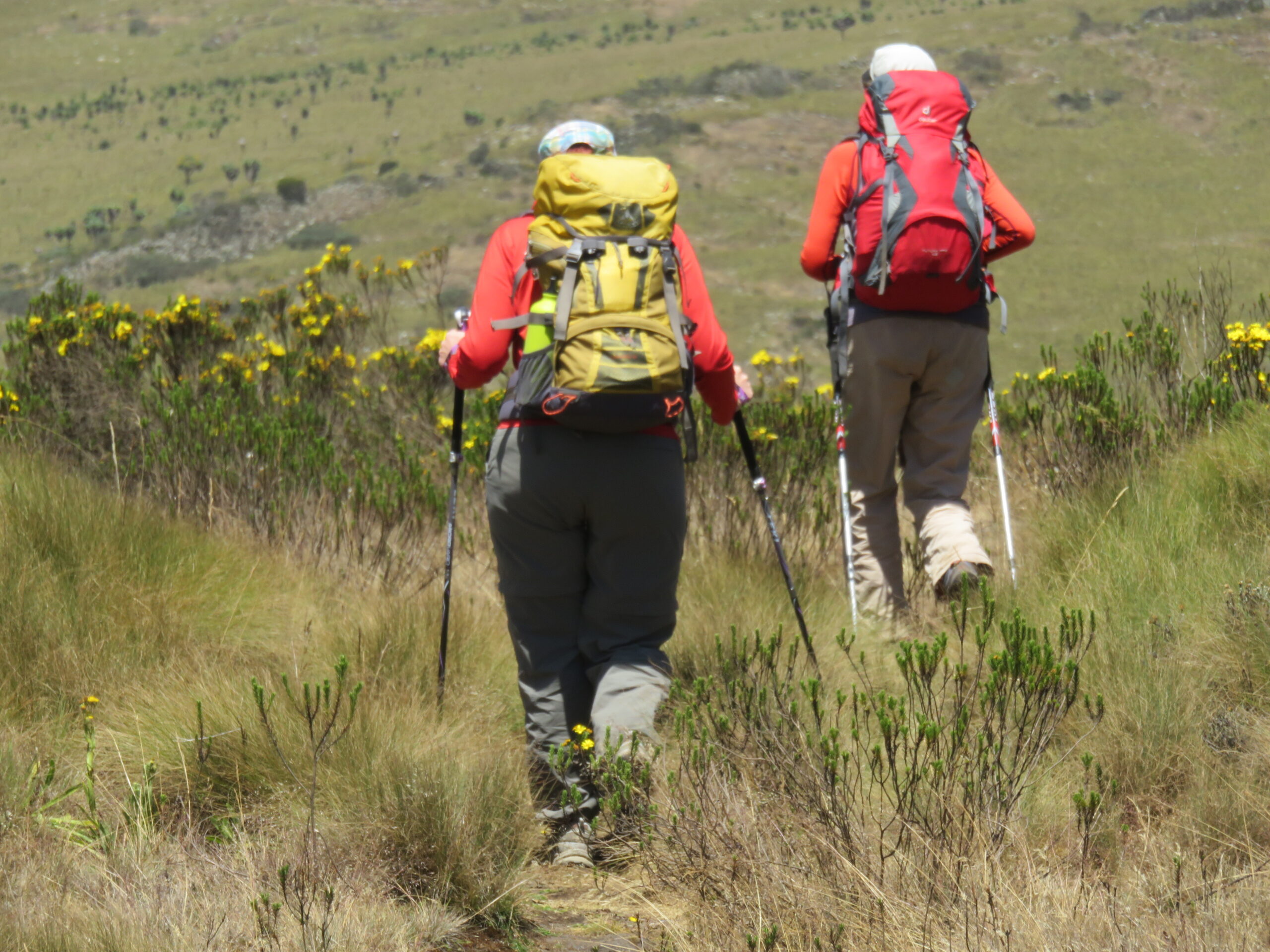 aberdare la satima hike