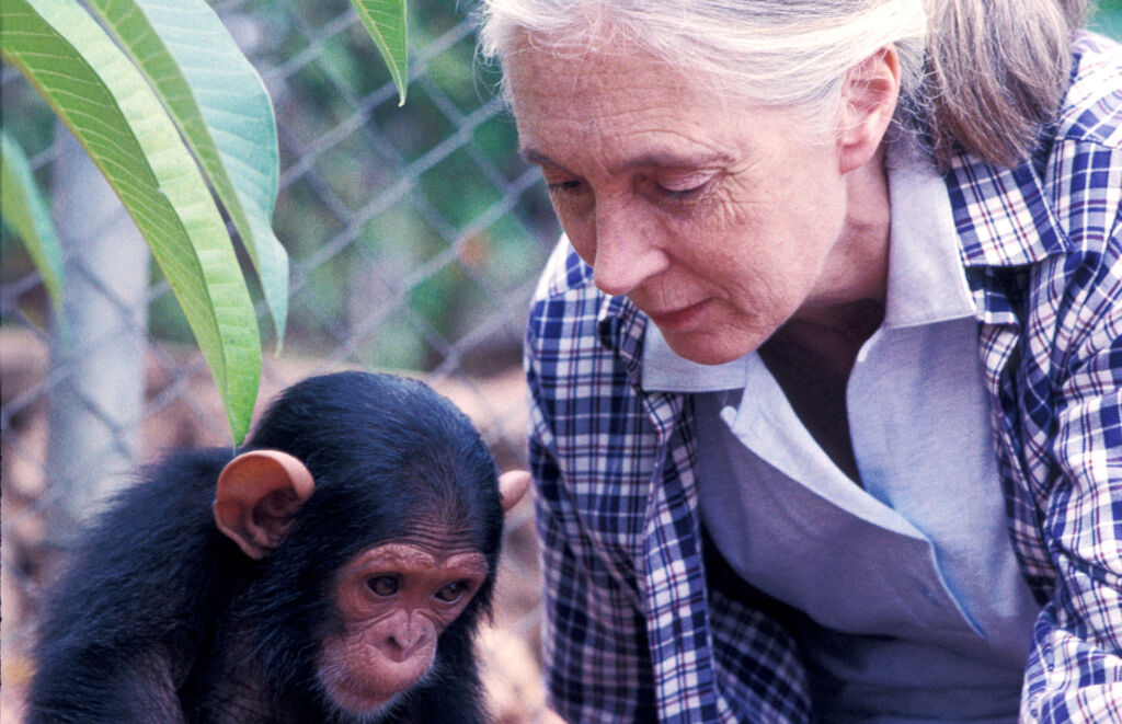Women in Conservation Safari