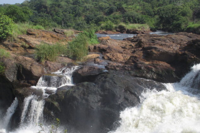 3 Days Murchison Falls National Park