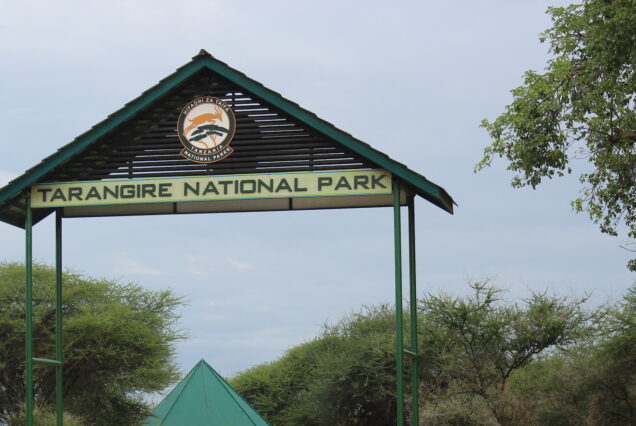 3 Days Tarangire Manyara Ngorongoro Safari