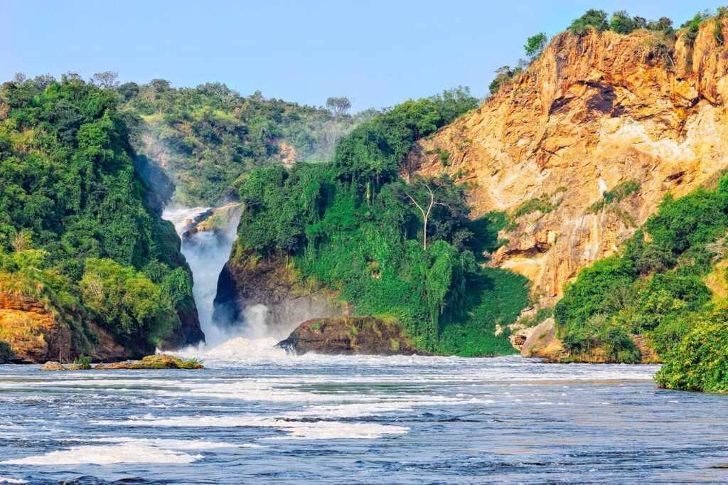 Along the White Nile Safari