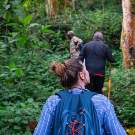 Bwindi hike