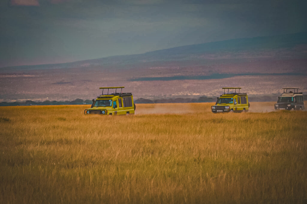 An adventurous East African round trip