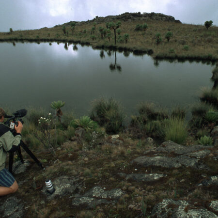 Mt Elgon