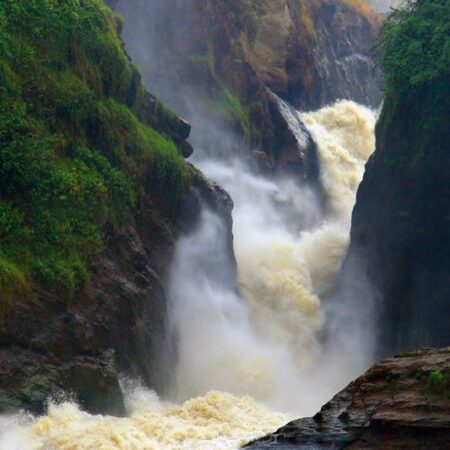 Murchison falls