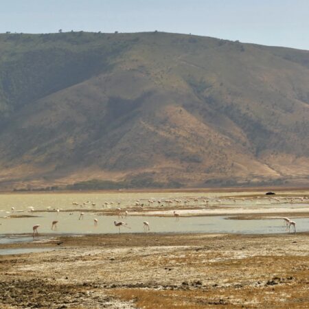 Ngorongoro crater