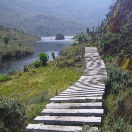 Ruwenzori trek