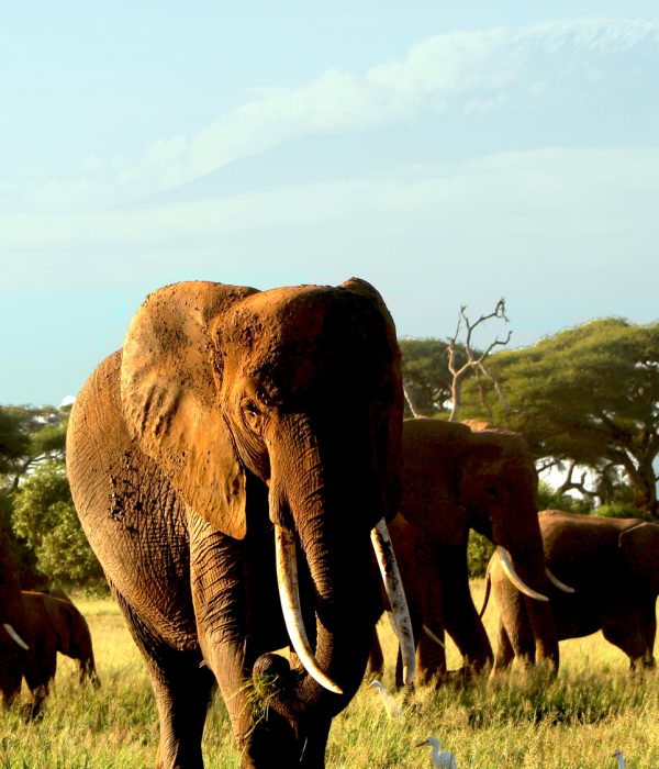 Kenya