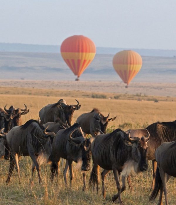 Serengeti-Balloon-Safari-andBeyond-Experience